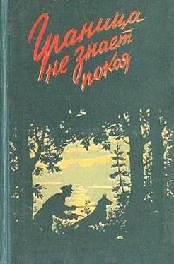 Александр Авдеенко Граница не знает покоя обложка книги