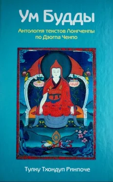 Тулку Тхондуп Ум Будды. Антология текстов Лонгчемпы по Дзота Ченпо. обложка книги