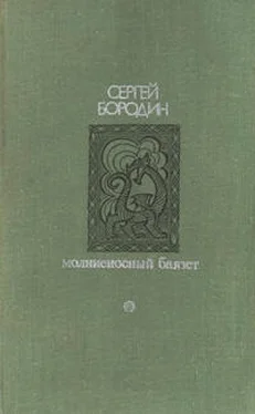 Сергей Бородин Молниеносный Баязет обложка книги