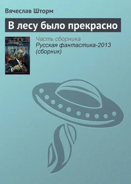 Вячеслав Шторм В лесу было прекрасно обложка книги