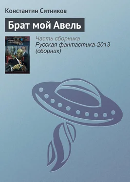 Константин Ситников Брат мой Авель обложка книги