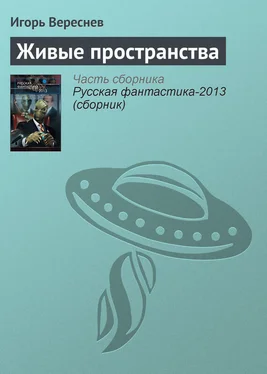 Игорь Вереснев Живые пространства обложка книги