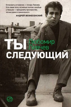 Любомир Левчев Ты следующий обложка книги