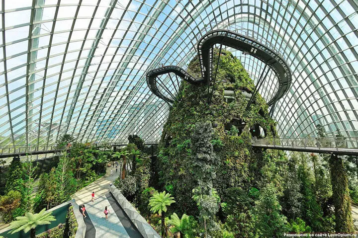 Строительство Gardens by the Bay продолжалось 5 лет и обошлось в 784 миллиона - фото 57
