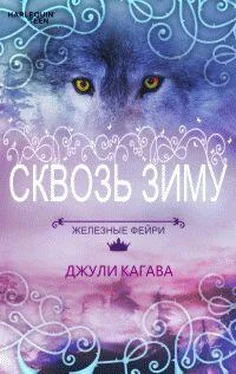 Джули Кагава Сквозь зиму обложка книги