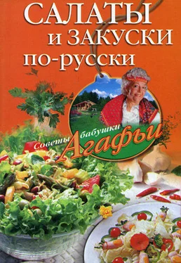 Агафья Звонарева Салаты и закуски по-русски обложка книги