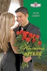 Лесли Ламберт - Неизменный жребий