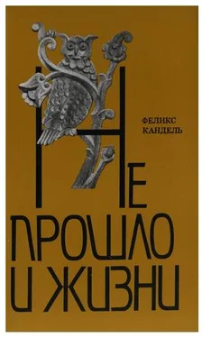 Феликс Кандель Не прошло и жизни обложка книги