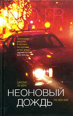 Джеймс Берк Неоновый дождь обложка книги