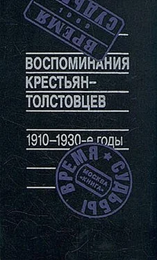 Арсений Рогинский (составитель) Воспоминания крестьян-толстовцев. 1910-1930-е годы обложка книги