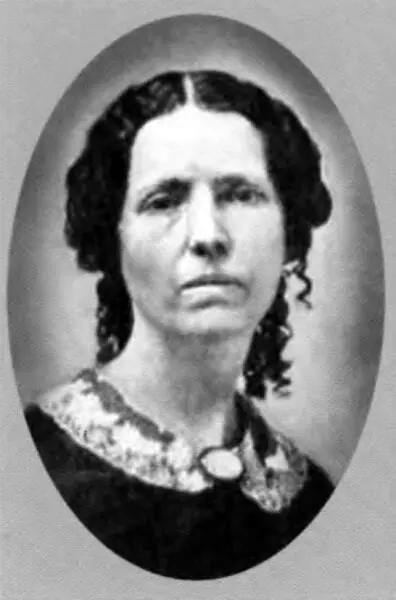 Сестра Памела Обложка сборника рассказов Знаменитая скачущая лягушка 1867 - фото 11