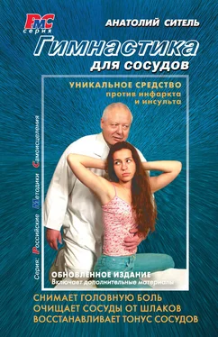 Анатолий Ситель Гимнастика для сосудов обложка книги