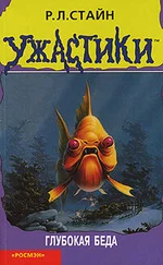 Роберт Стайн - Глубокая беда