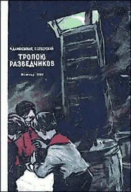 Нина Данилевская Тропою разведчиков обложка книги