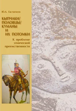 Юрий Евстигнеев Кыпчаки / половцы / куманы и их потомки: к проблеме этнической преемственности обложка книги