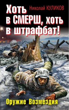 Николай Куликов Хоть в СМЕРШ, хоть в штрафбат! Оружие Возмездия обложка книги