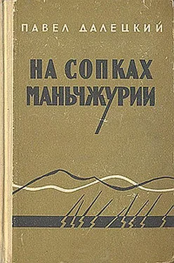 Павел Далецкий На сопках Маньчжурии обложка книги