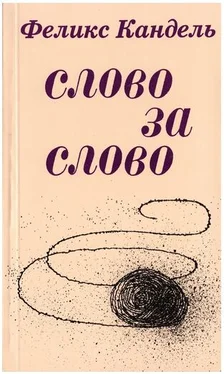 Феликс Кандель Слово за слово обложка книги