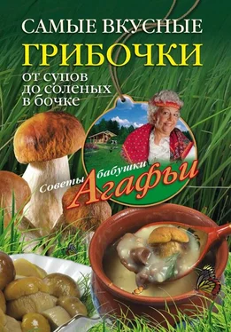 Агафья Звонарева Самые вкусные грибочки. От супов до соленых в бочке обложка книги