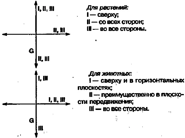 Фактически указанные признаки позволяют провести классификацию организмов по - фото 17