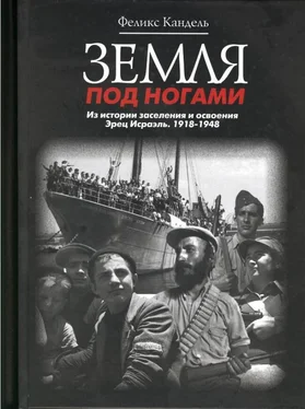 Феликс Кандель Земля под ногами. Из истории заселения и освоения Эрец Исраэль. 1918-1948(Книга вторая) обложка книги