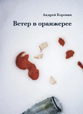 Андрей Коровин Ветер в оранжерее обложка книги
