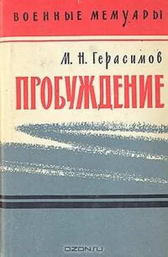 Михаил Герасимов Пробуждение обложка книги