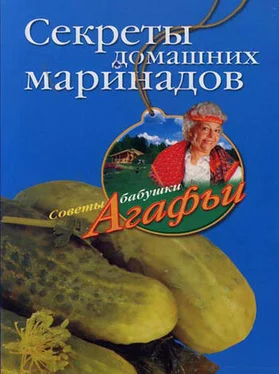 Агафья Звонарева Секреты домашних маринадов обложка книги