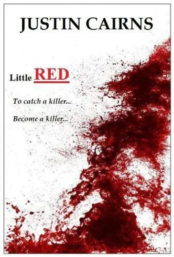 Justin Cairns Little Red обложка книги