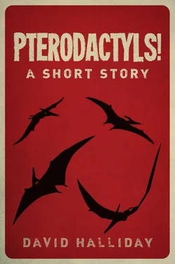 David Halliday Pterodactyls! обложка книги