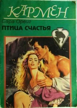 Сара Орвиг Птица счастья обложка книги