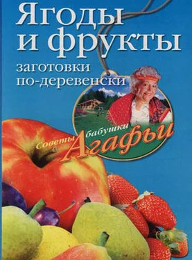 Агафья Звонарева Ягоды и фрукты. Заготовки по-деревенски обложка книги