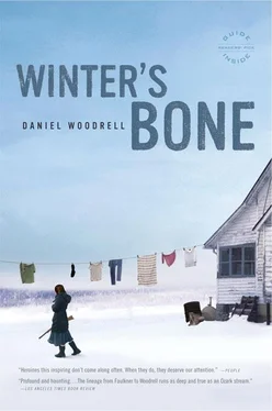 Daniel Woodrell Winter's Bone обложка книги