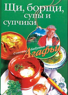 Агафья Звонарева Щи, борщи, супы и супчики обложка книги