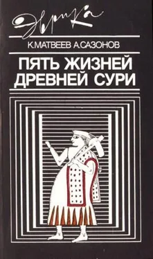 Константин Матвеев Пять жизней древней Сури обложка книги