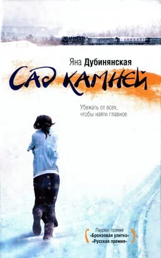 Яна Дубинянская Сад камней обложка книги