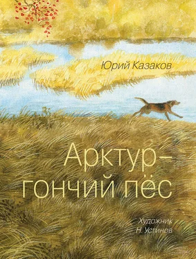 Юрий Казаков Арктур – гончий пес (сборник) обложка книги