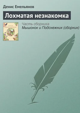 Денис Емельянов Лохматая незнакомка обложка книги