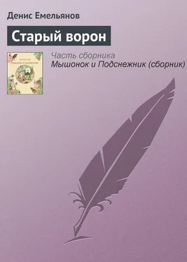 Денис Емельянов Старый ворон обложка книги