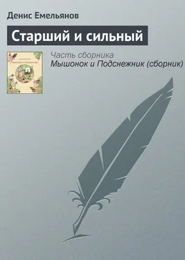 Денис Емельянов Старший и сильный обложка книги