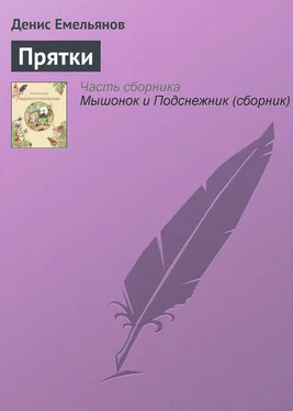 Денис Емельянов Прятки обложка книги