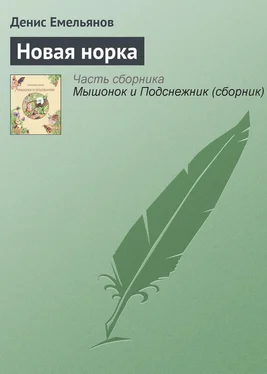 Денис Емельянов Новая норка обложка книги