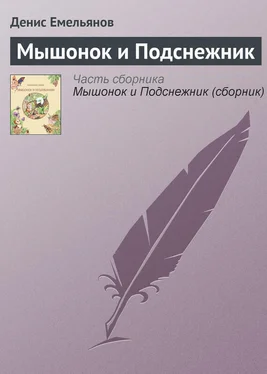 Денис Емельянов Мышонок и Подснежник обложка книги