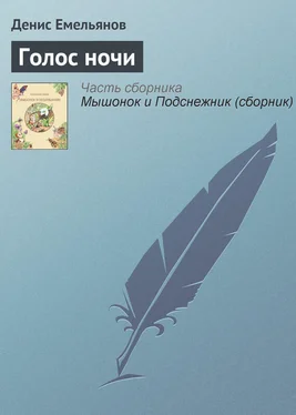 Денис Емельянов Голос ночи обложка книги