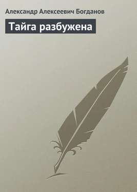 Александр Богданов Тайга разбужена обложка книги