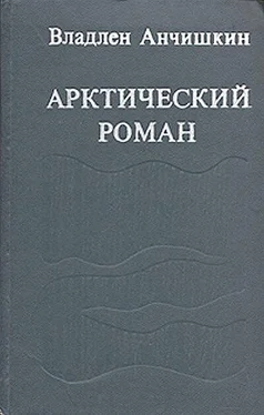 Владлен Анчишкин Арктический роман обложка книги