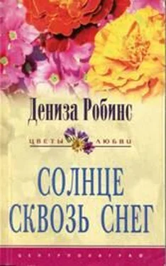 Дениз Робинс Солнце сквозь снег обложка книги