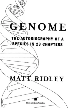Genome Matt Ridley обложка книги
