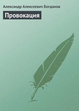 Александр Богданов Провокация обложка книги