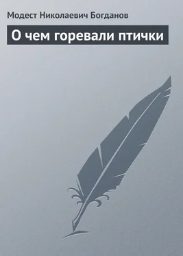 Модест Богданов О чем горевали птички обложка книги